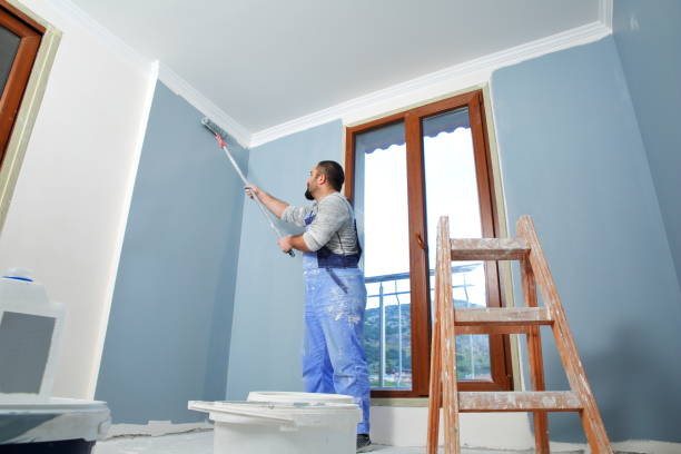 Best Post-Remediation Verification Testing  in Elburn, IL