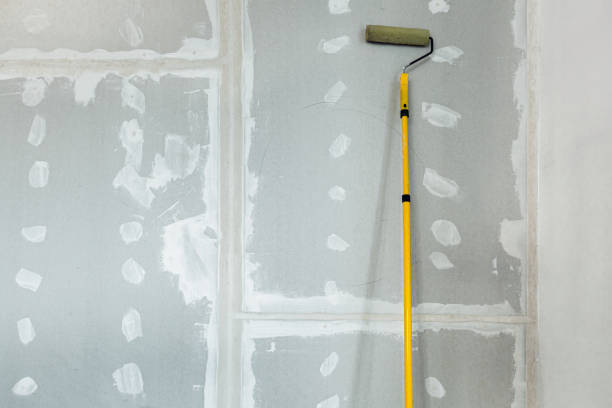 Best Post-Construction Mold Inspection  in Elburn, IL