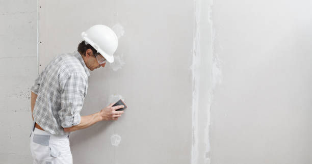 Best Mold Documentation for Insurance Claims  in Elburn, IL