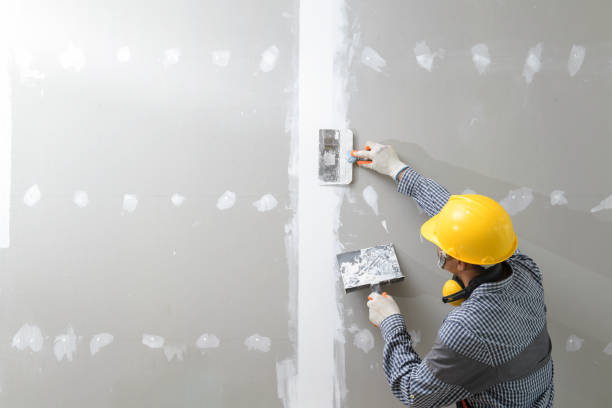 Professional Mold Removal in Elburn, IL
