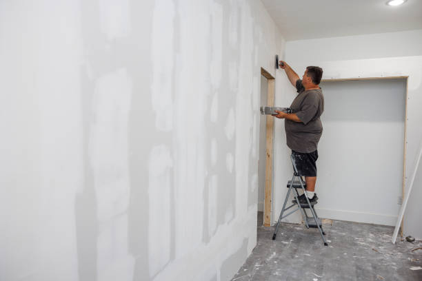Best Mold Remediation for Healthcare Facilities  in Elburn, IL