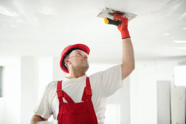Best Forensic Mold Investigation  in Elburn, IL