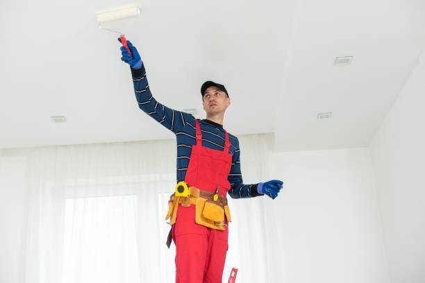 Best Black Mold Removal  in Elburn, IL