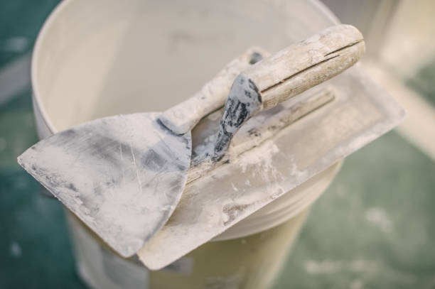 Best Real Estate Mold Inspection  in Elburn, IL