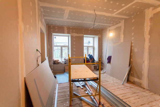 Best Attic Mold Removal  in Elburn, IL
