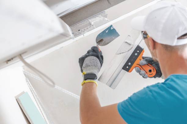 Best Mold Damage Restoration  in Elburn, IL